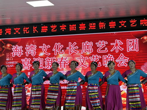 海灣文化長廊藝術團舉辦“喜迎新春”文藝晚會，共繪文化藝術交流新畫卷